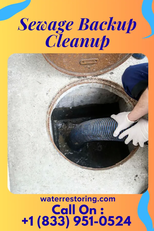 Sewage Backup Cleanup in Andalusia, IL